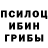 Галлюциногенные грибы Psilocybine cubensis Adamjon Toxirov