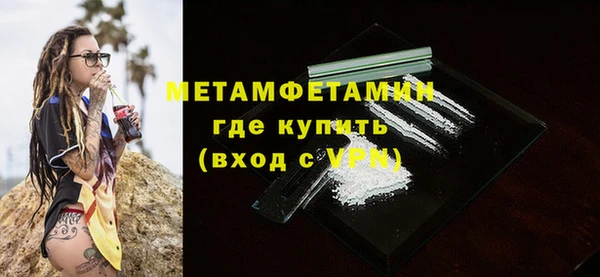 сатива Волоколамск