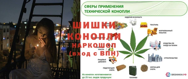 шишки Волосово