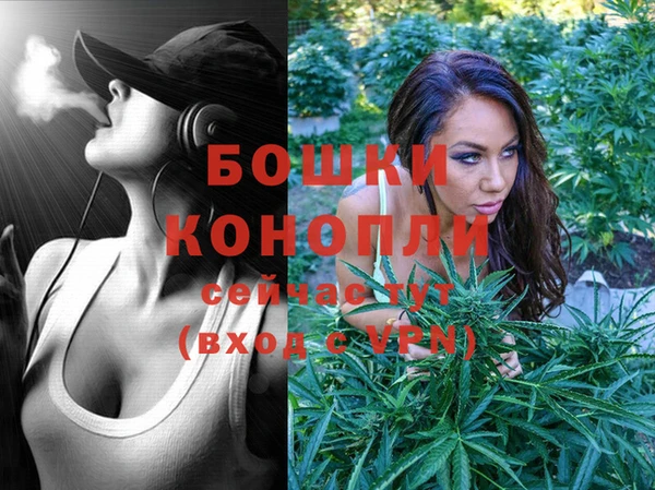 шишки Волосово