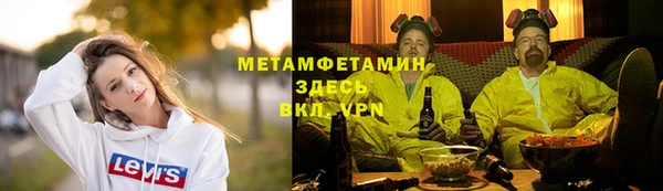 сатива Волоколамск
