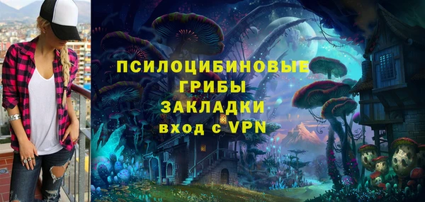 сатива Волоколамск