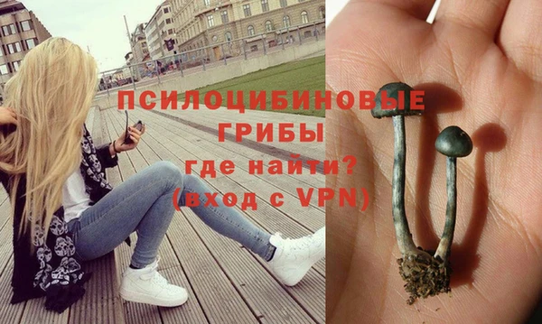 шишки Волосово