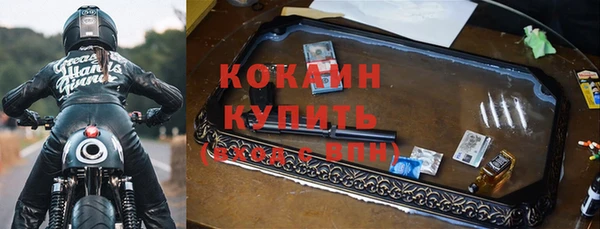 сатива Волоколамск