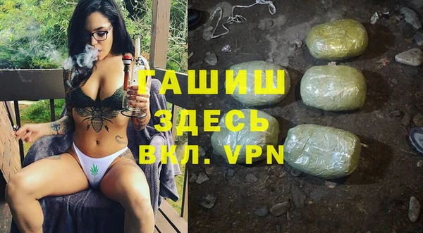 сатива Волоколамск
