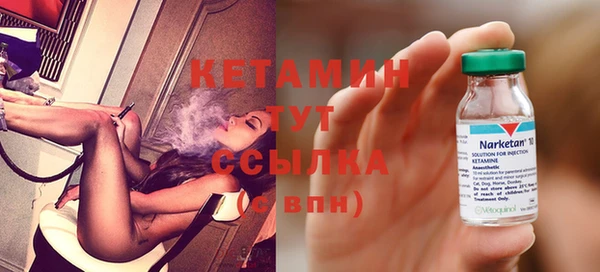 сатива Волоколамск
